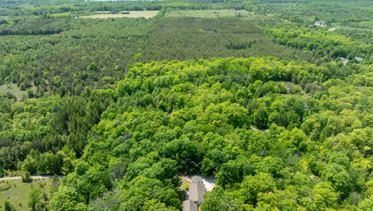 10863 Old Stage Rd Sister Bay Wisconsin Summer ext-16